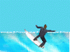 fine-surf2